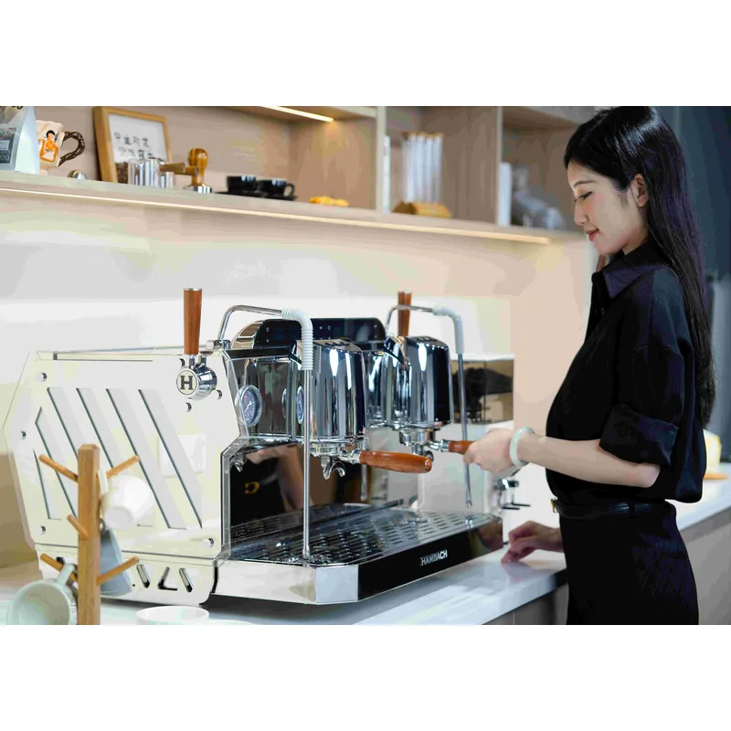 Ticari 2 Grup Espresso Kahve M - Commercial Espresso Machine 2 Group incelemesi ve fiyatı